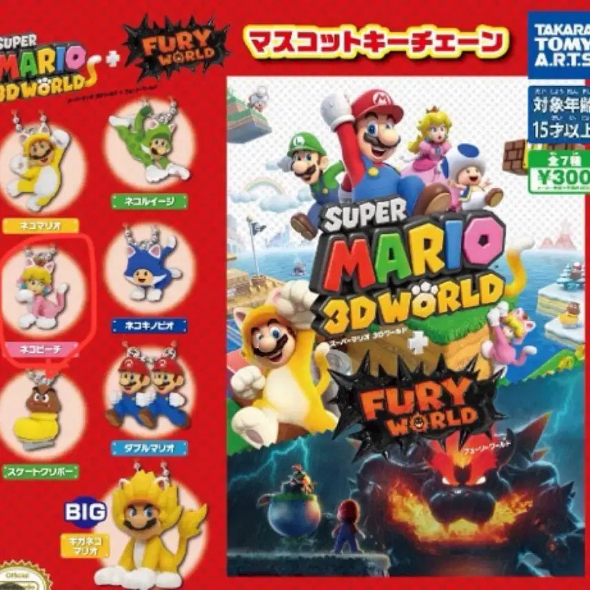 [BUNJANG] Super Mario 3D World + Bowser&