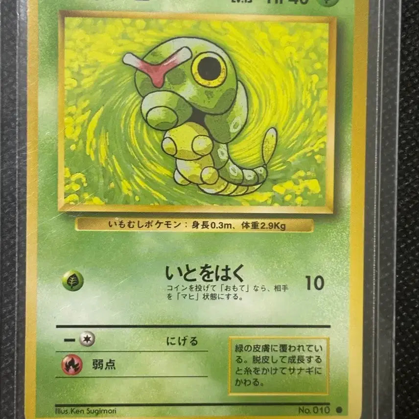[BUNJANG] Pokemon Caterpie 1st Edition Card / 포켓몬카드 캐터피 초판 카드