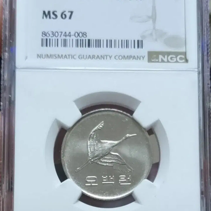 [BUNJANG] 1983 500th Anniversary Graded Card (Grade 67) / 최고등급 1983년500주 67등급