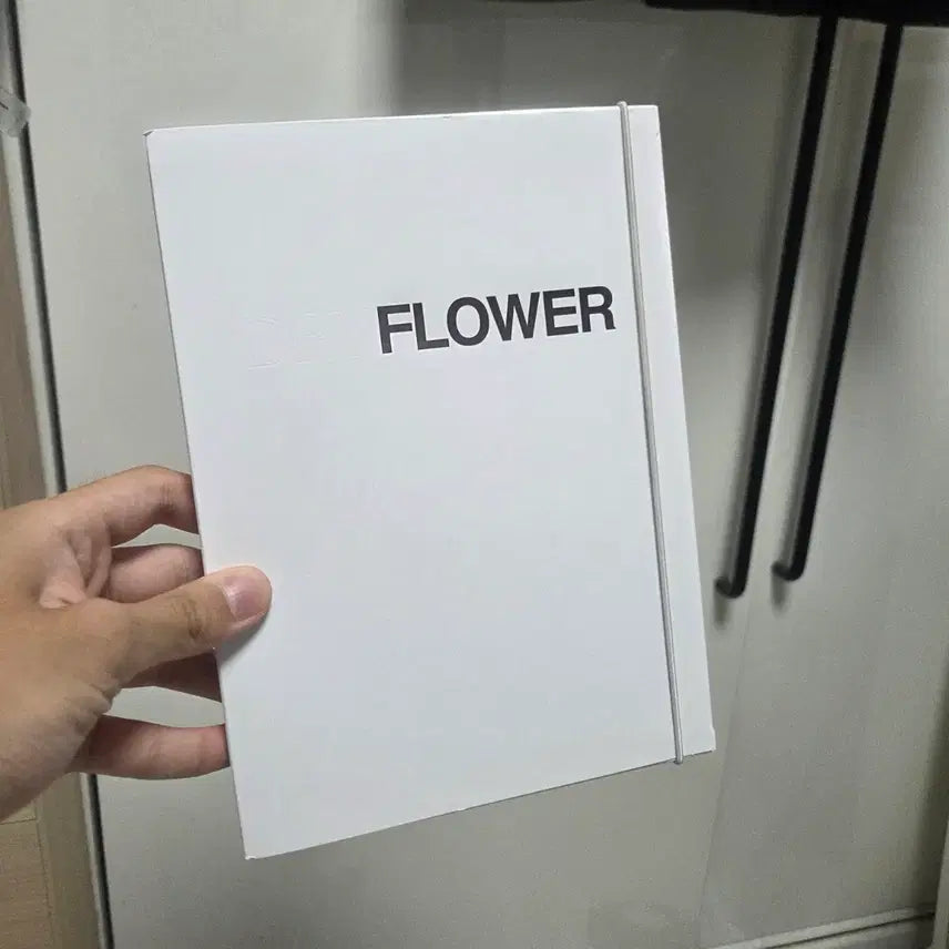 [BUNJANG] Phenomeco Dry Flower Accessory / 페노메코 dry flower
