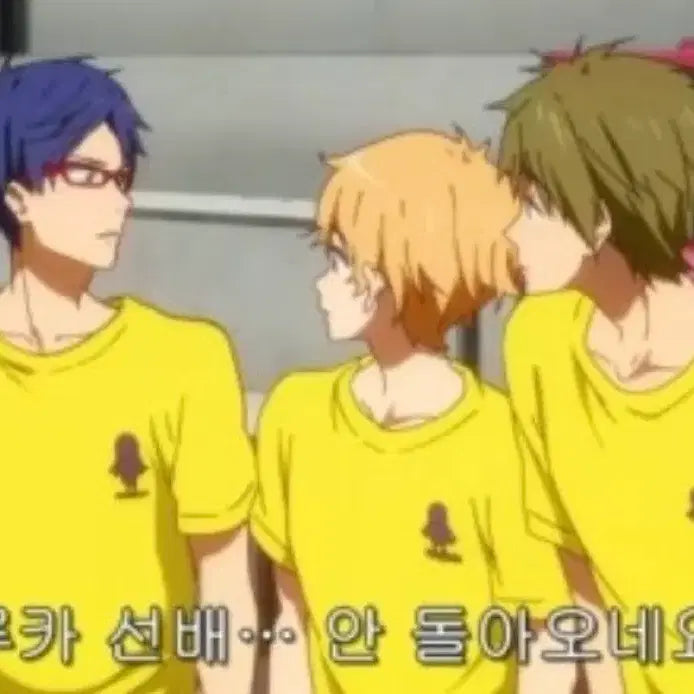 [BUNJANG] Free! Iwatobi High School Swim Club T-Shirt / (새상품) Free! 프리 시크릿 이와토비짱 고교 수영부 티셔츠 상의 비공굿 굿즈