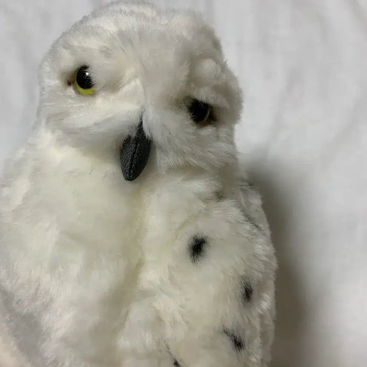 [BUNJANG] Universal Studios Japan Harry Potter Hedwig Plush Bracelet / 일본 오사카 유니버셜스튜디오 해리포터 헤드위그 인형 팔찌