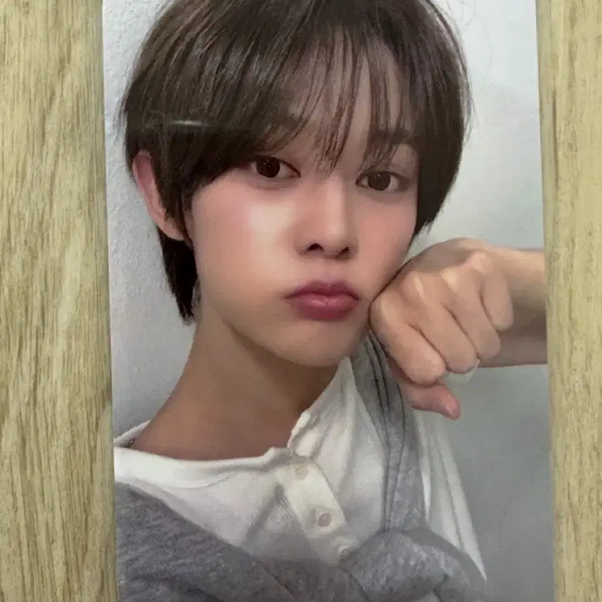 [BUNJANG] Vayon Sun Jia Yang Daily Fan Meeting Photocard / 베이온 쑨지아양 일일팬매 공방포카 공방 포카 vayonn