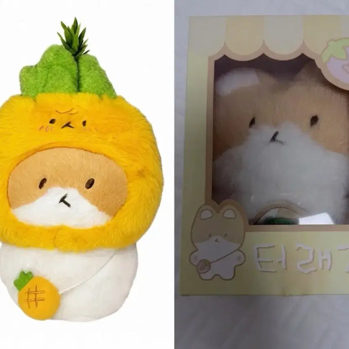 [BUNJANG] Baekhyun 20cm Doll + Pineapple Outfit Bundle Set / 백현터래기인형20cm  + 파인애플옷 일괄양도