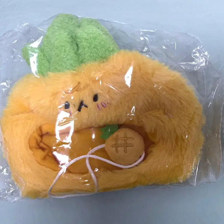 [BUNJANG] Baekhyun 20cm Doll + Pineapple Outfit Bundle Set / 백현터래기인형20cm  + 파인애플옷 일괄양도