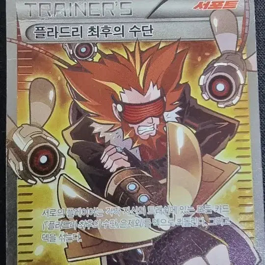 [BUNJANG] PLAIDORY Last Resort XY SR Card / 플라드리 최후의 수단 XY sr