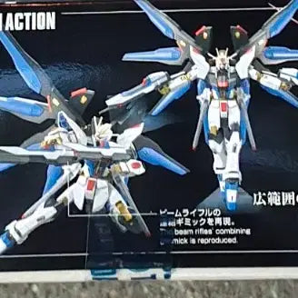 [BUNJANG] Bandai HG Strike Freedom Gundam Model Kit / 반다이 HG 스트라이크 프리덤 건담