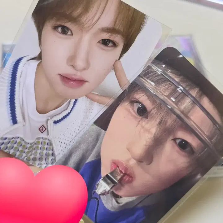 [BUNJANG] NCT WISH Sakuya Yoichidong Group Version Sealed CD Bundle Set / 엔시티위시 사쿠야 요이동 단체반 양도