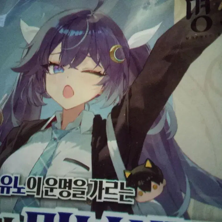 [BUNJANG] Various Anime &amp; Game Merchandise - Collectibles, Films, Posters, and More / 명조 초희귀 일러스트 포장비닐 치사,유노,블루아카이브,체인소맨