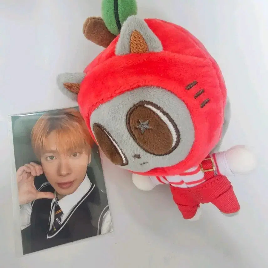 [BUNJANG] TXT Taehyun Apple Cat Plush / 사과다고냥인형 애뿔바투 강태현포카 투바투  txt 투모로우바이투게더 taehyun