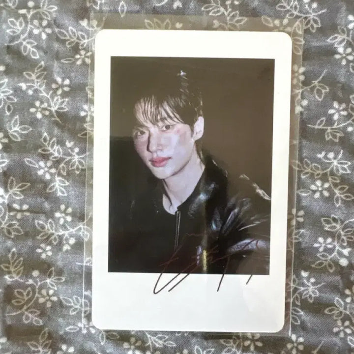 [BUNJANG] Byun Woo Seok DICON Special Edition Photocard Weverse Type A / 변우석 디아이콘특전포토카드 위버스A타입