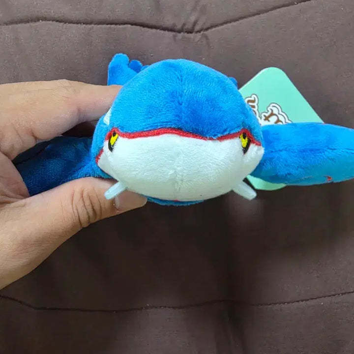 [BUNJANG] Pokemon Center Pokemon fit Groudon Plush / 가이오가 포켓몬센터 포켓몬 fit 핏 인형