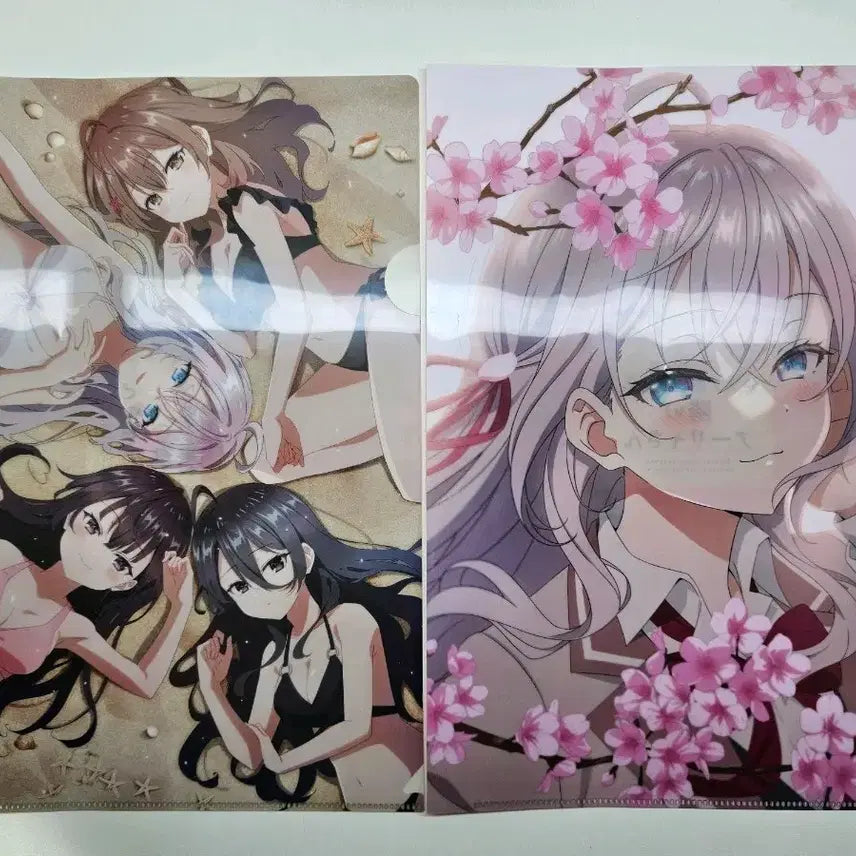 [BUNJANG] Rosidere Clear File Bundle Set / 로시데레 클리어파일 일괄 판매