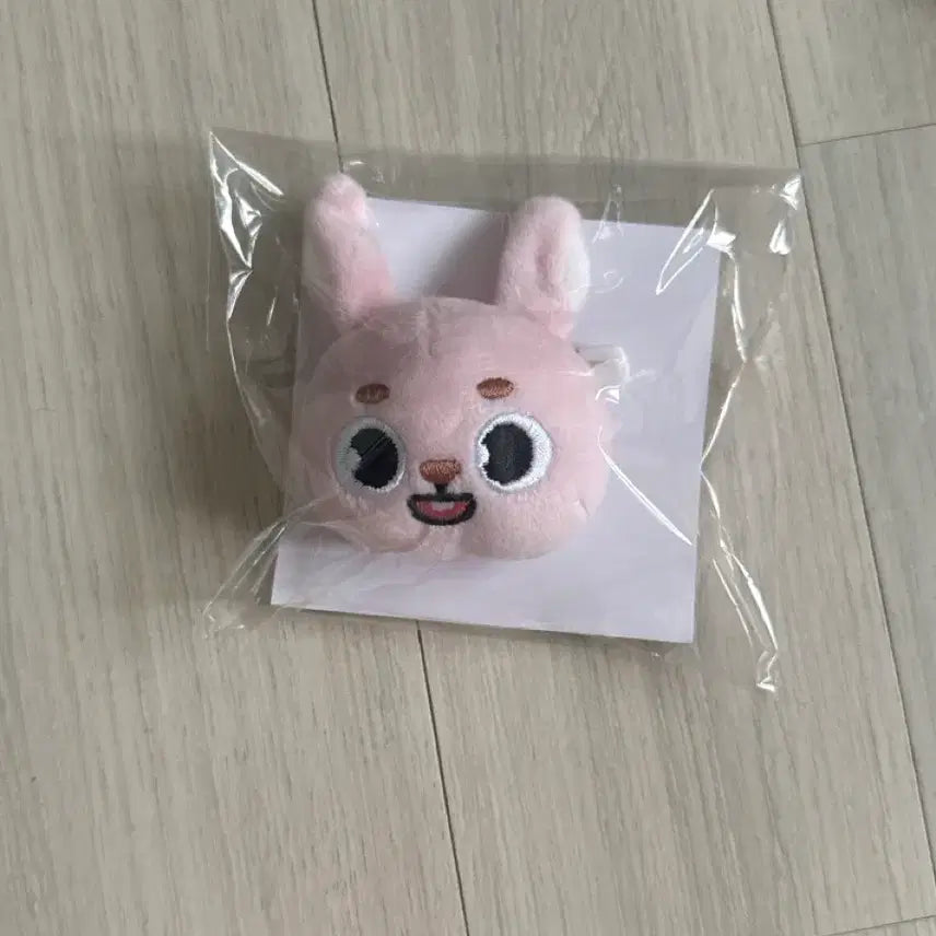 [BUNJANG] Day6 Japan Phil Badge / 데이식스 일본 필 뱃지