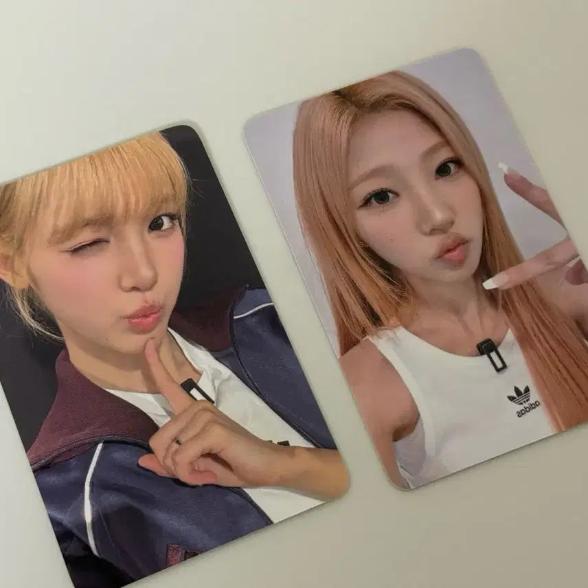 [BUNJANG] Stellar Yuha &