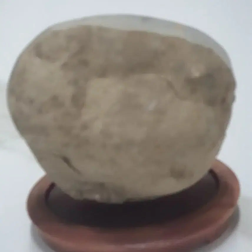 [BUNJANG] Septarian Nodule Dragon Stone / 수석- 귀갑석