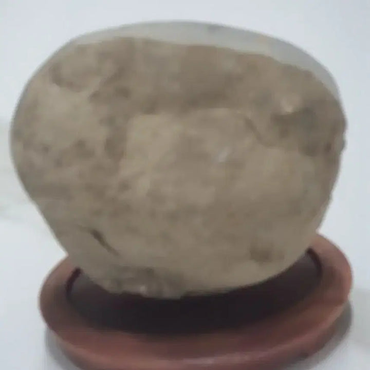 [BUNJANG] Septarian Nodule Dragon Stone / 수석- 귀갑석