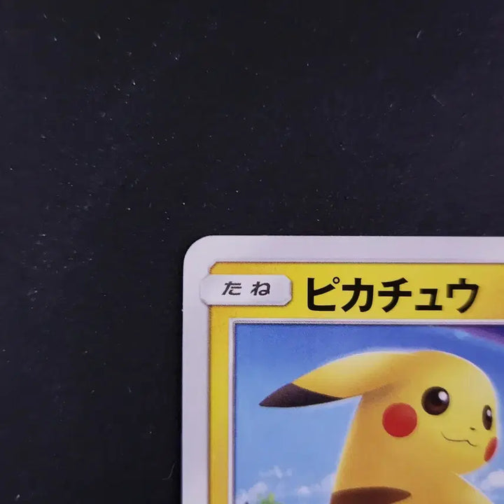 [BUNJANG] Pikachu Start Deck Japanese Edition Pokemon Card / 무지개와 들판 배경의 피카츄 스타트덱 포켓몬카드 일본판 일판