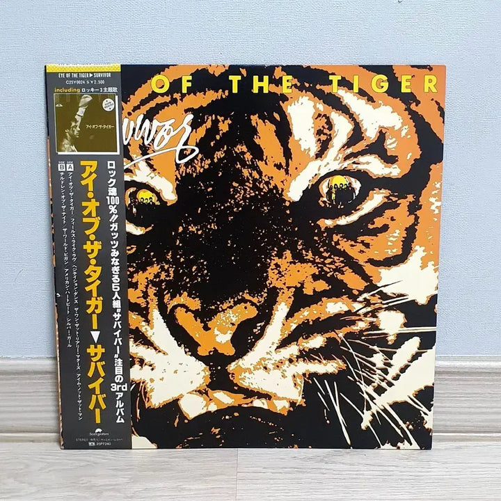 [BUNJANG] Survivor Eye of the Tiger LP (1982, Japan Pressing) / LP ㅡ  [민트급] SURVIVOR  / Eye of the tiger