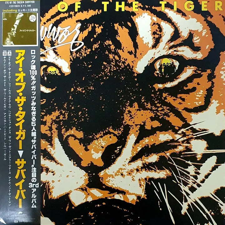 [BUNJANG] Survivor Eye of the Tiger LP (1982, Japan Pressing) / LP ㅡ  [민트급] SURVIVOR  / Eye of the tiger