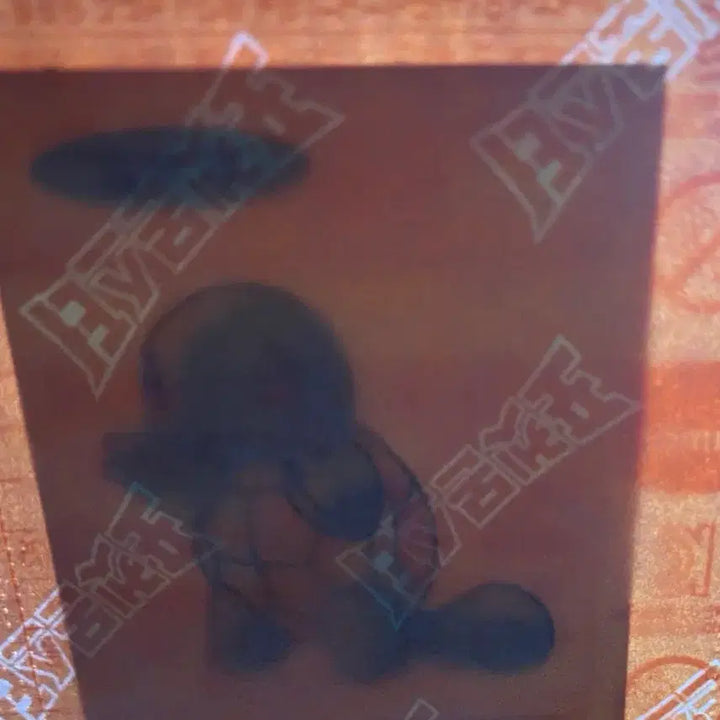 [BUNJANG] Pokemon 30th Anniversary Squirtle Sticker / 포켓몬스터 30주년 꼬부기 띠부씰