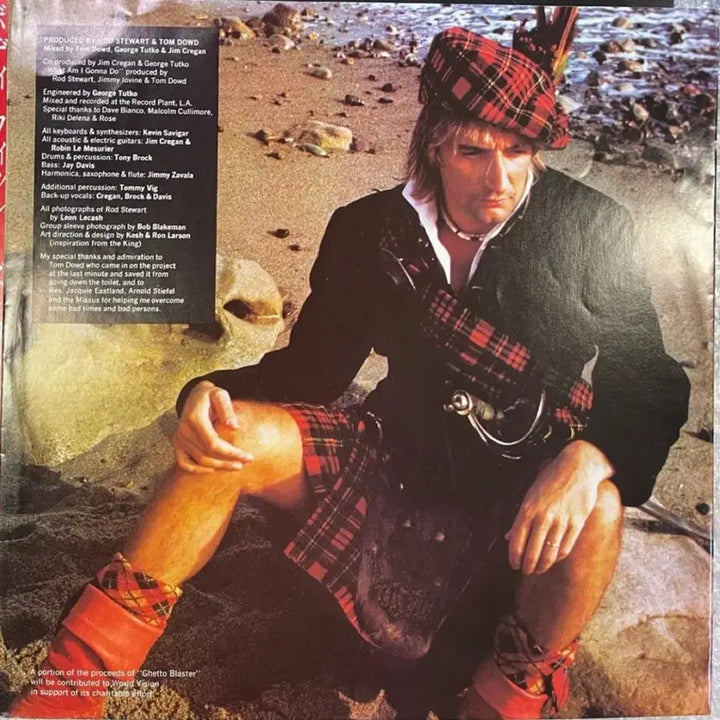 [BUNJANG] Rod Stewart Body Wishes LP / Rod Stewart / Body Wishes 엘피