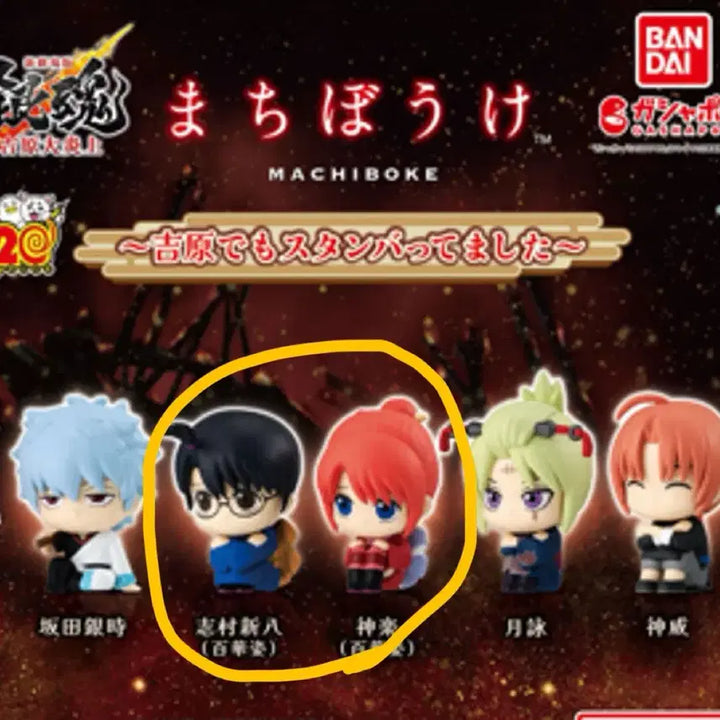 [BUNJANG] Gintama Yoshikawa Machiboke Kagura &amp; Shinpachi Bundle Set / 은혼 요시와라 마치보케 카구라 신파치 일괄
