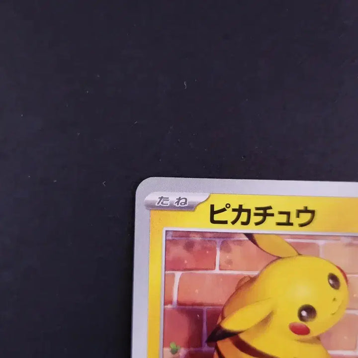 [BUNJANG] Pikachu Cyber Judge Japanese Edition Pokémon Card / 빤히 쳐다보는 피카츄 사이버 저지 포켓몬카드 일본판 일판