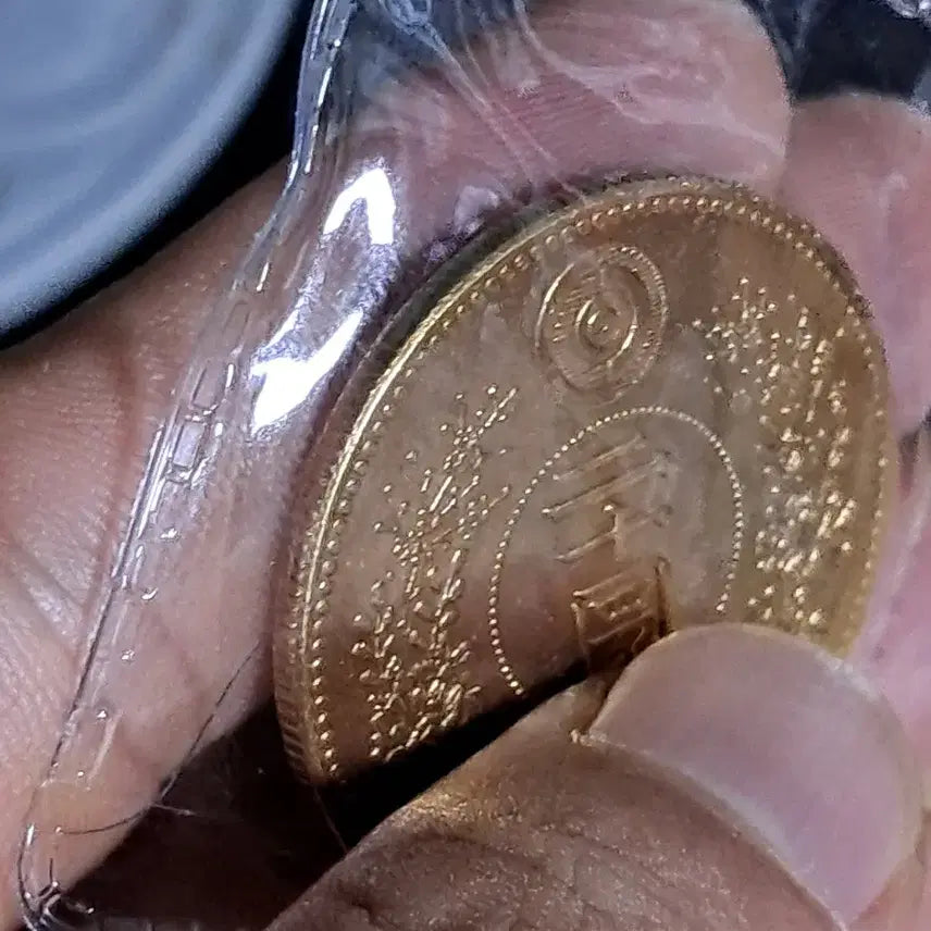 [BUNJANG] Assorted Foreign Coins and Banknotes (Silver, Gold, Ancient Chinese, Foreign Currency, Yeopjeon, Byeoljeon) / U153 외국동전 은화 금화 고전주화 중국동전 해외동전 엽전 별전 지폐