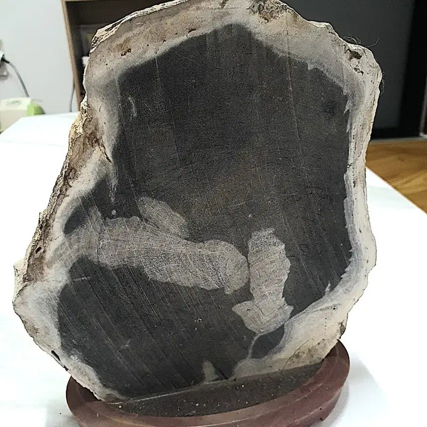 [BUNJANG] Petrified Wood Fossil with Stand / 수석- 규화목