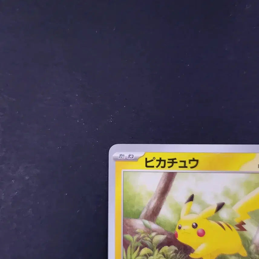 [BUNJANG] Pikachu Walking on a Tree Pokemon Card 151 Japanese Edition / 숲속 나무 위를 걷는 피카츄 포켓몬 카드 151 일본판 일판
