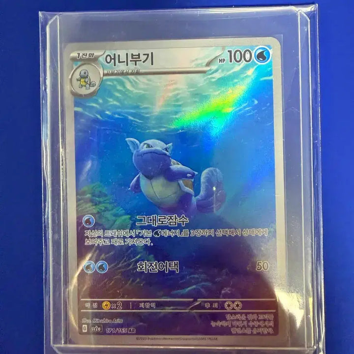 [BUNJANG] Pokemon Card Turtwig AR Card / 포켓몬카드 어니부기 AR 카드