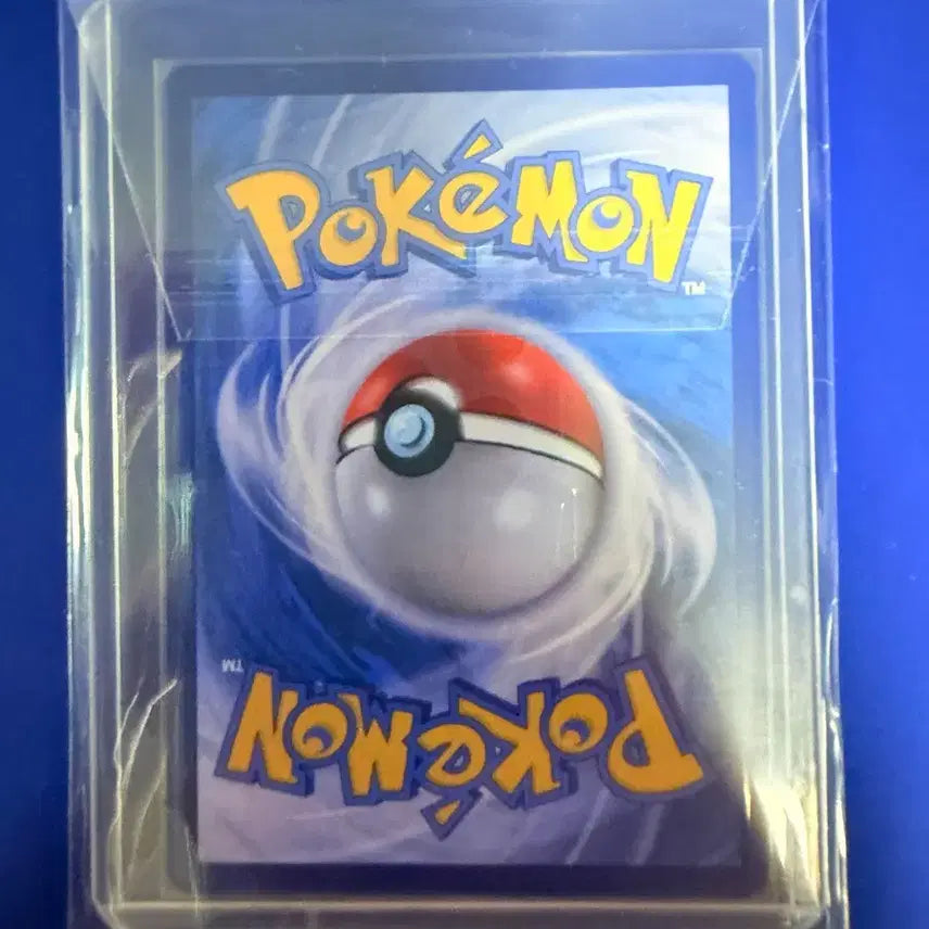 [BUNJANG] Pokemon Card Turtwig AR Card / 포켓몬카드 어니부기 AR 카드
