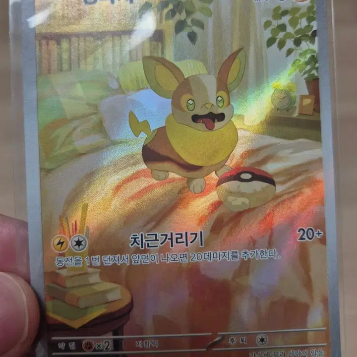 [BUNJANG] Pokemon Card Pawmot AR / 포켓몬카드 멍파치 ar