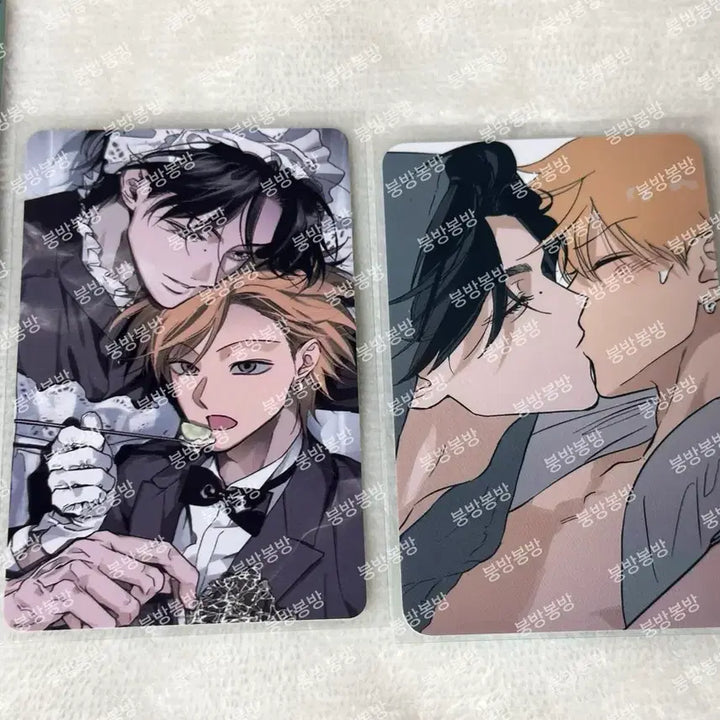 [BUNJANG] Le Sevon Salon de Sevon Deco Pack Bundle Set POB Photocard / [일괄] 레봄 살롱드르봉 풀북 데코팩 포토팩 특전