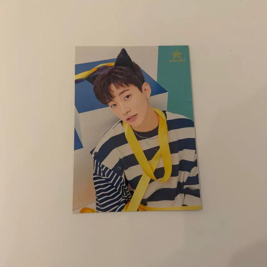 [BUNJANG] 2PM Junho Flashlight Photocard / 2pm 준호 플래시라이트 flashlight 플라 트레카 고양이 트카 이준호