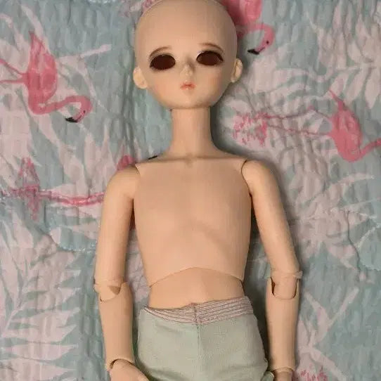[BUNJANG] Blue Fairy Glass Type Doll Head (7-Month Discount) / 블루페어리 유리판매 (8월말까지 이가격)