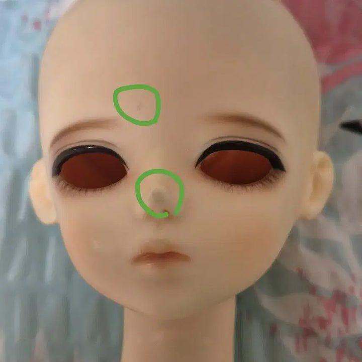 [BUNJANG] Blue Fairy Glass Type Doll Head (7-Month Discount) / 블루페어리 유리판매 (8월말까지 이가격)