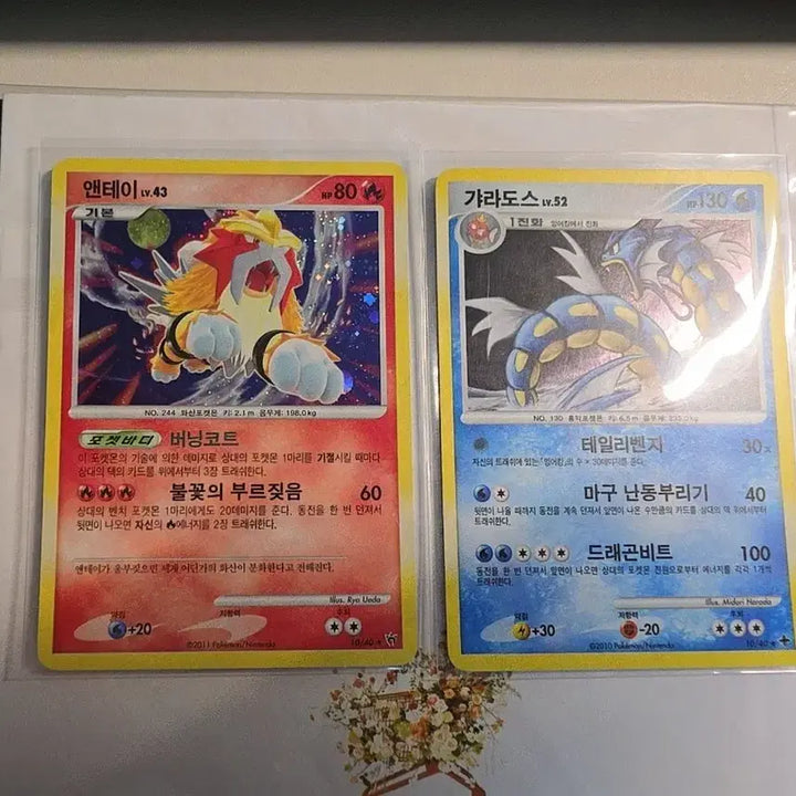 [BUNJANG] 2010 Pokemon TCG Entei Gyarados Classic DP Card / 2010 포켓몬스터 앤테이 갸라도스 고전 DP 카드