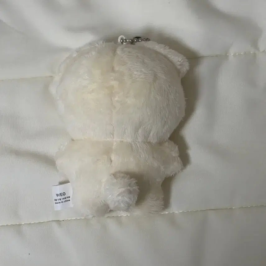 [BUNJANG] ZB1 Kim Gyuvin Doll Som Gyuvin / 제베원 김태래 인형 솜태래 양도