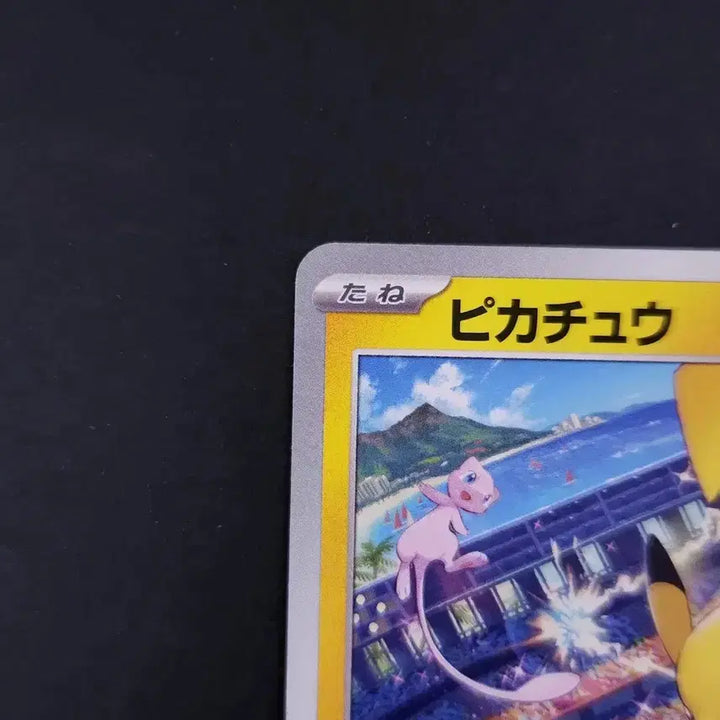 [BUNJANG] Pokemon Japanese Promo Card Pikachu VS Mew 197/SV-P / 피카츄 VS 뮤 197/SV-P 프로모 카드 포켓몬 일본판 일판