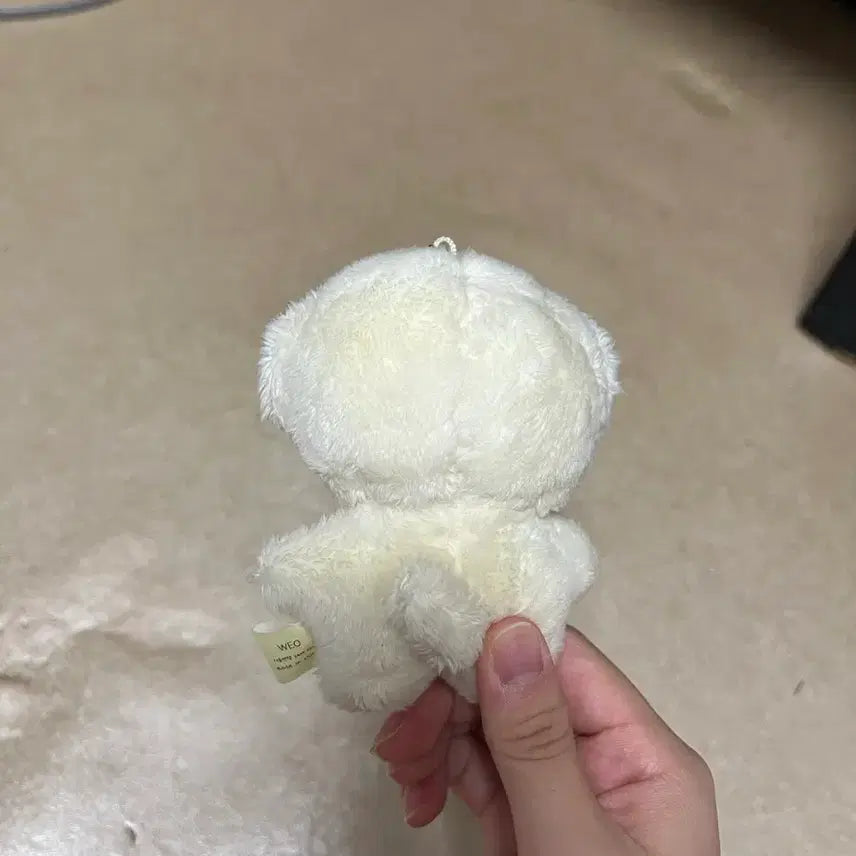 [BUNJANG] Jeno Doll / (급처) 제노 인형