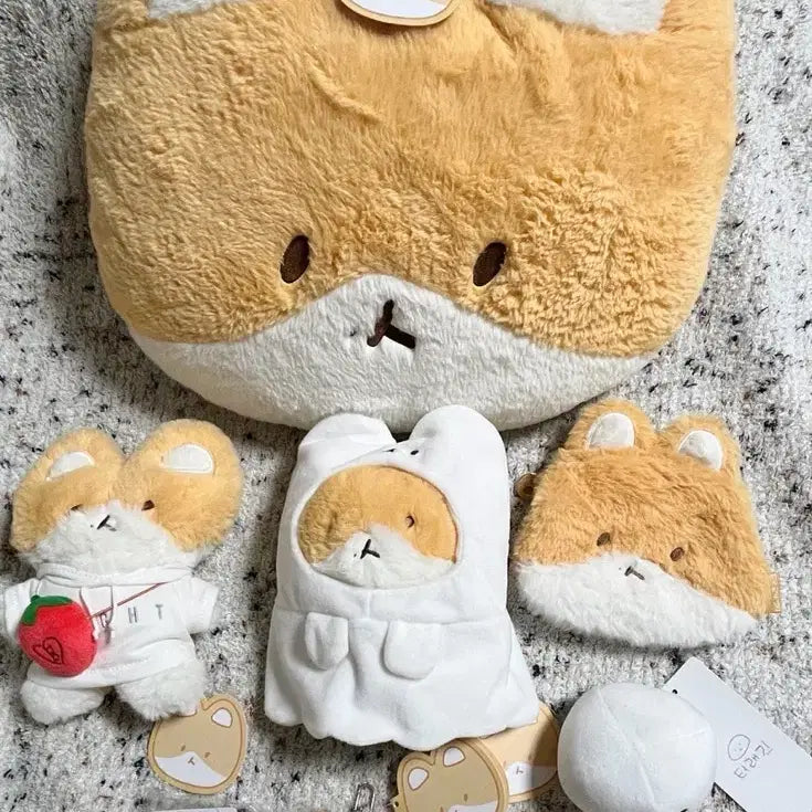 [BUNJANG] Teddy Bear Bundle Set / 터래기 일괄