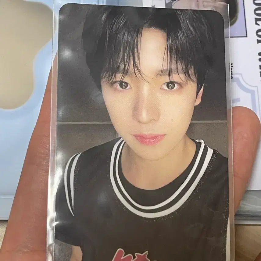 [BUNJANG] Yushi School of Wish Student ID Collect Book Dunk Shot Photocard Bundle Set / 엔시티 엔시티위시 유우시 스쿨오브위시 학생증 콜렉트북 포카