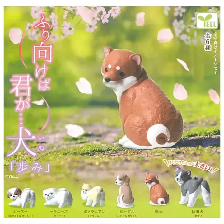 [BUNJANG] YELL Ayumi Dog Figure Series Pomeranian / YELL 아유미 강아지 피규어 시리즈
