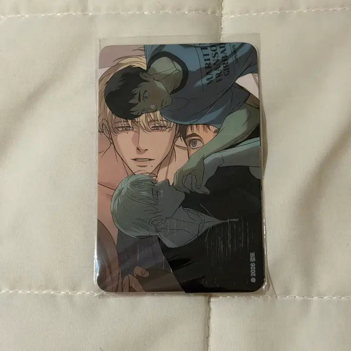 [BUNJANG] Sparkles Backlight Photocard / 스파클즈 특전 백라이트 포토카드