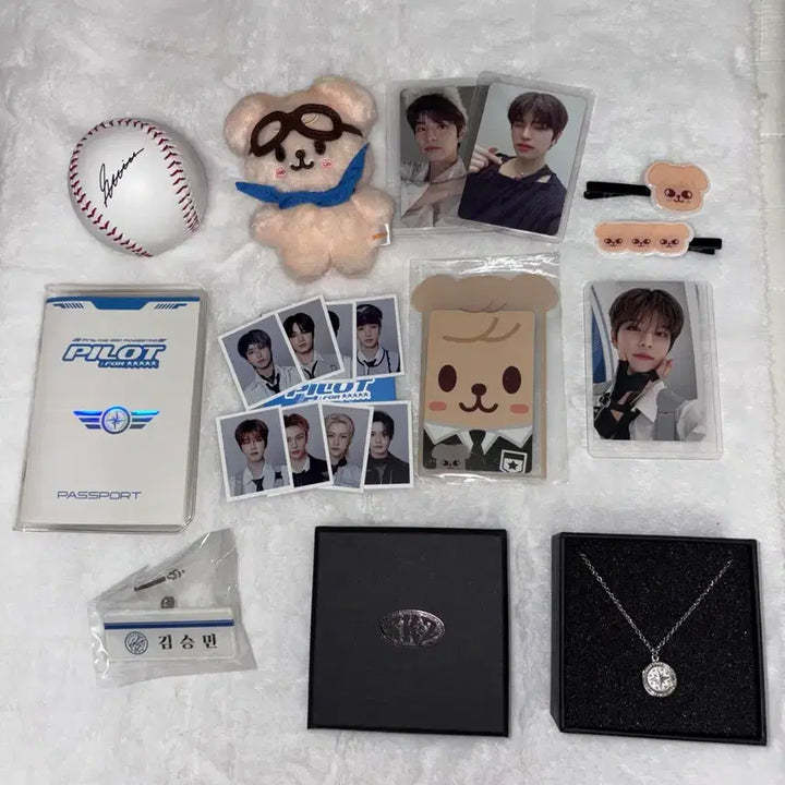 [BUNJANG] Stray Kids Seungmin Pilot Perfume Necklace Photocard Bundle / 스트레이키즈 스키즈 파일럿 승민 일괄 퍼핌 목걸이 증사 포카 머리핀 포카홀더 여권 명찰