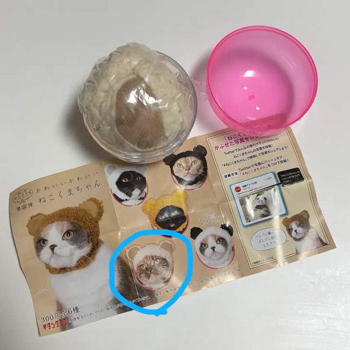 [BUNJANG] Neko Kaburimono Cat Hat Gacha / 가챠 고양이가챠 네코 카부리모노 고양이 모자 새상품