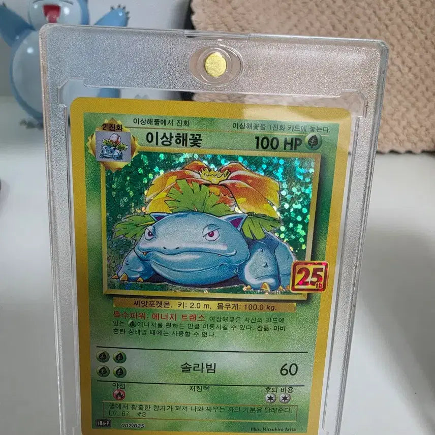 [BUNJANG] 25th Anniversary Pokémon Card Limited Edition Venusaur Charizard Blastoise Bundle Set / 25주년  포켓몬카드 한정판 이상해꽃 리자몽 거북왕