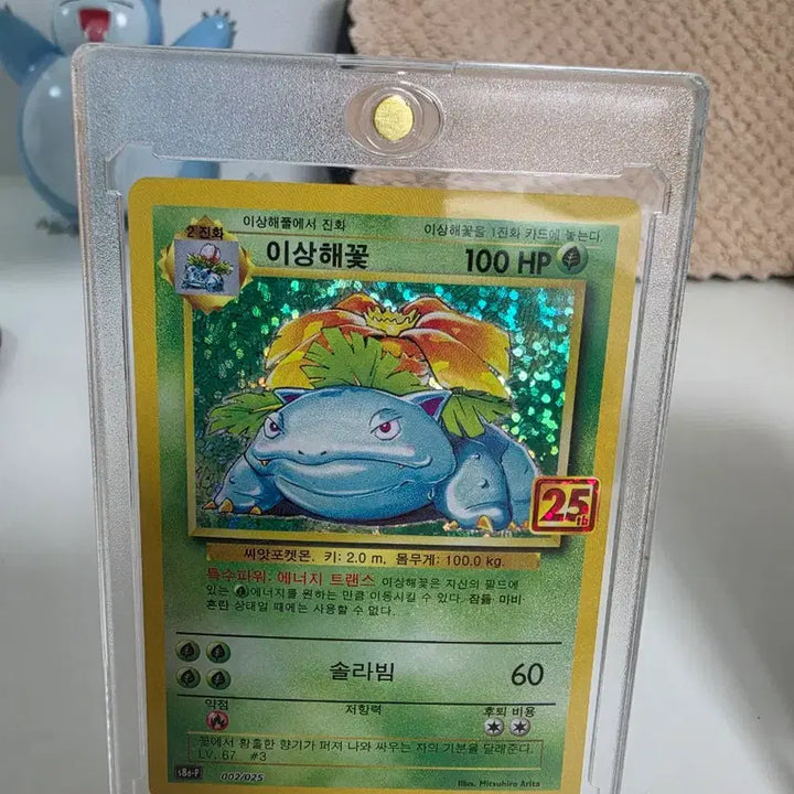 [BUNJANG] 25th Anniversary Pokémon Card Limited Edition Venusaur Charizard Blastoise Bundle Set / 25주년  포켓몬카드 한정판 이상해꽃 리자몽 거북왕